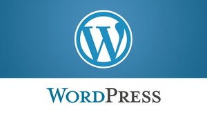 Post instalación de wordpress